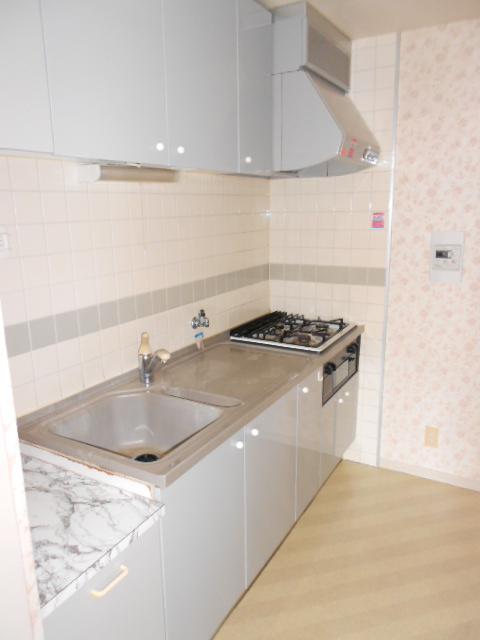 Kitchen. Room (August 2013) Shooting