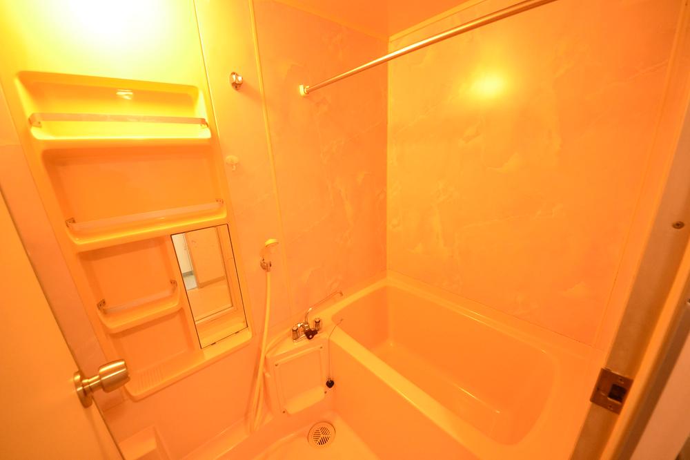 Bathroom. Local (August 2013) Shooting