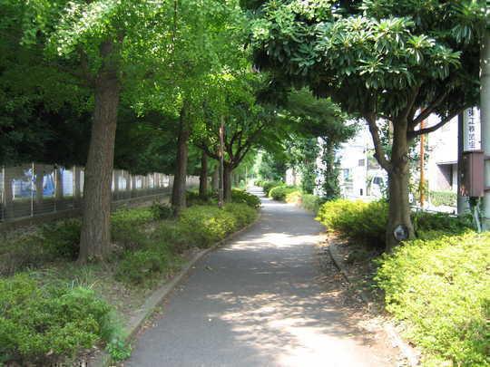 Other. Local west Lush promenade