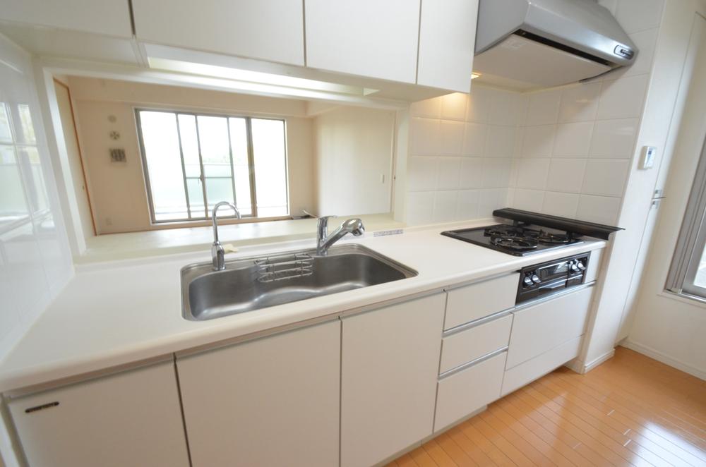 Kitchen. Indoor (11 May 2013) Shooting