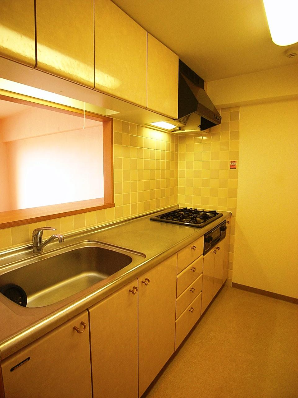 Kitchen. Indoor (10 May 2013) Shooting