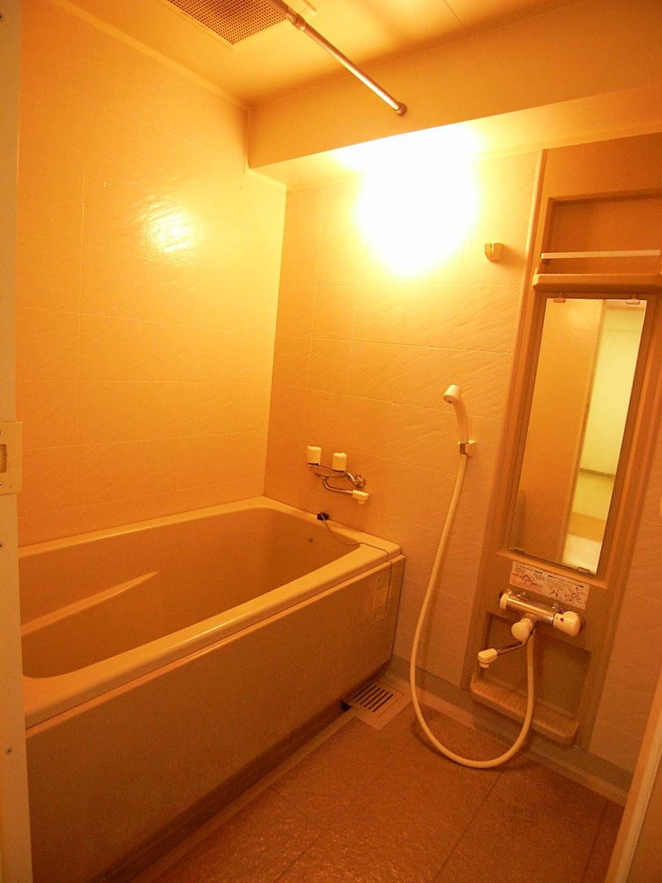 Bathroom. Indoor (10 May 2013) Shooting