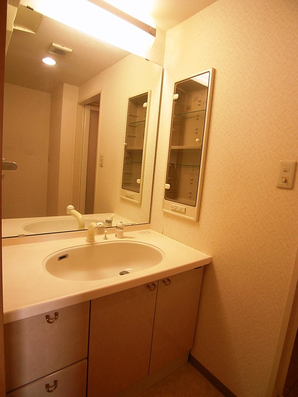 Wash basin, toilet. Indoor (10 May 2013) Shooting