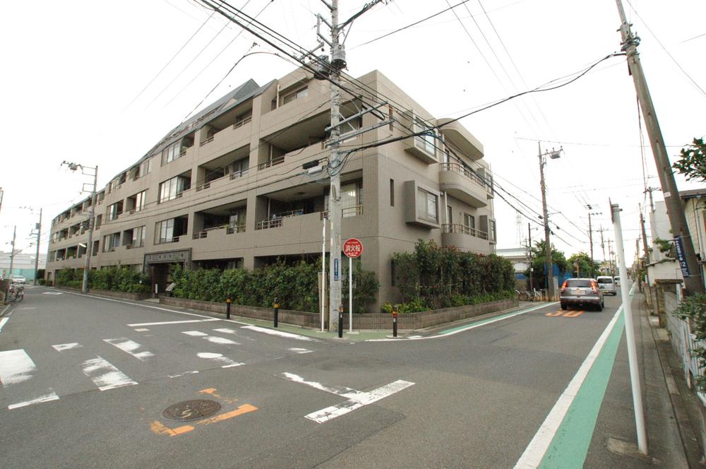 Local appearance photo. Local (September 2013) Shooting