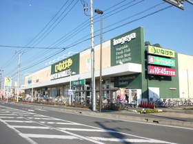 Supermarket. Inageya to (super) 1150m