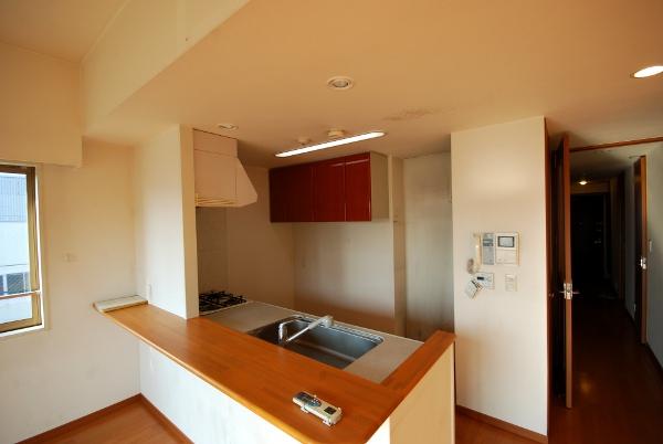 Kitchen. Room (August 2013) Shooting