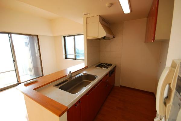 Kitchen. Room (August 2013) Shooting