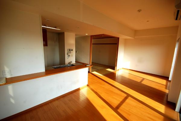 Living. Room (August 2013) Shooting