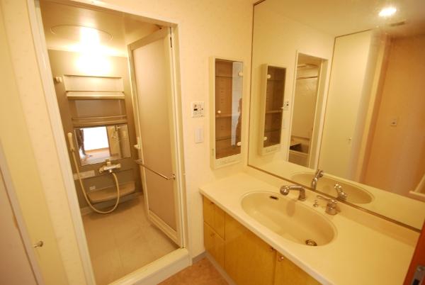 Wash basin, toilet. Room (August 2013) Shooting