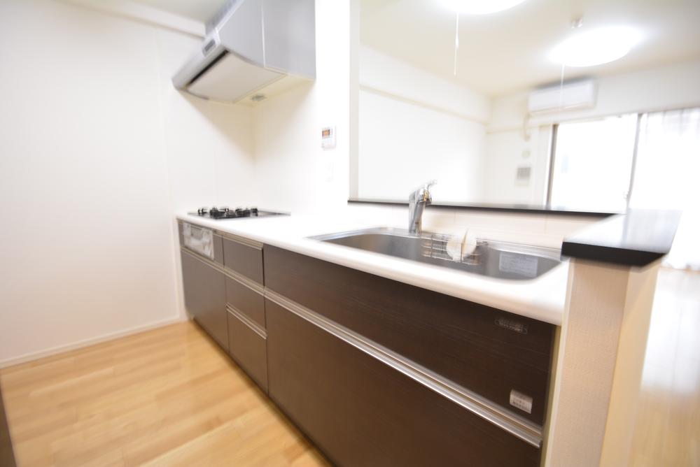 Kitchen. Indoor (11 May 2013) Shooting