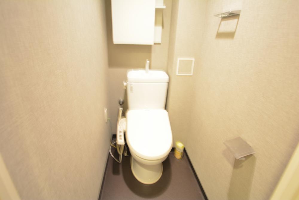 Toilet. Indoor (11 May 2013) Shooting