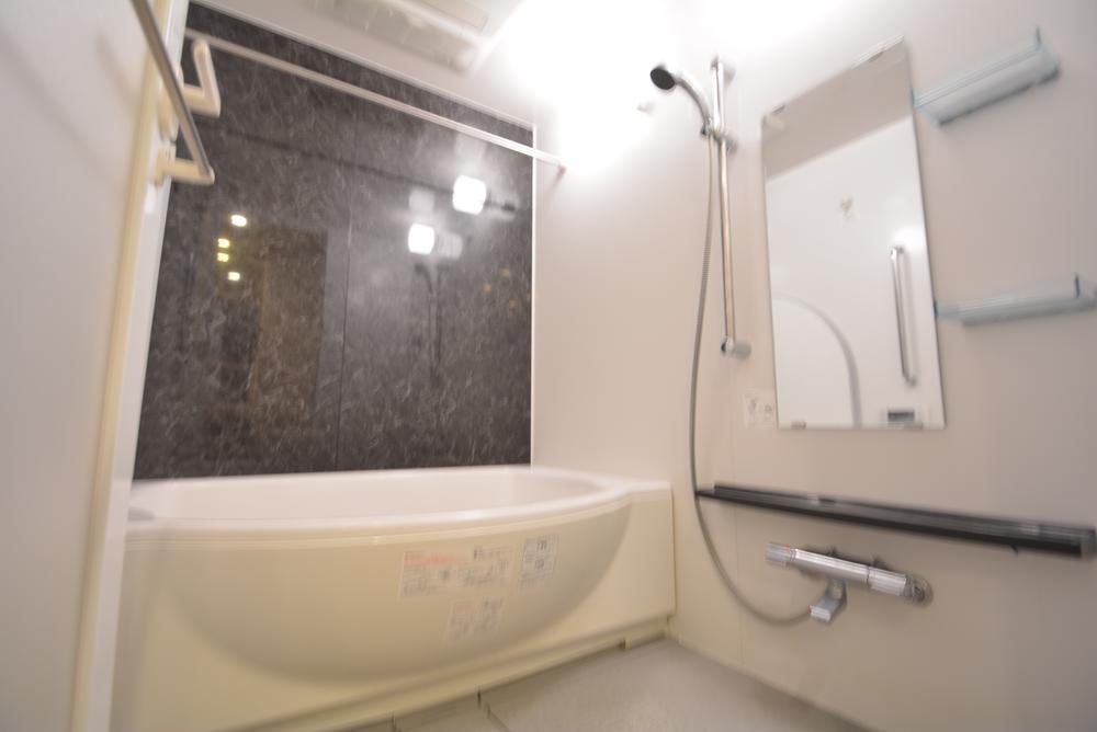 Bathroom. Indoor (11 May 2013) Shooting