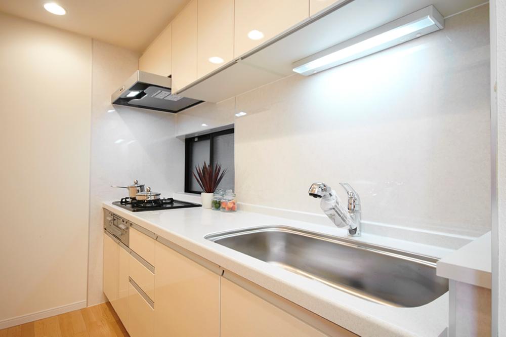 Kitchen. Indoor (12 May 2013) Shooting