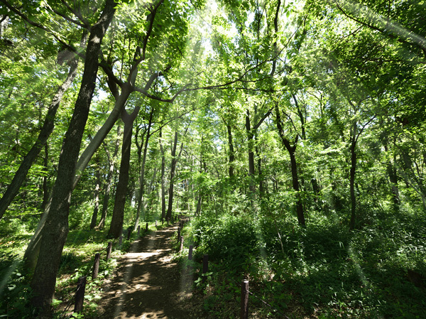Surrounding environment. Tsuruma natural forest (a 20-minute walk / About 1550m)