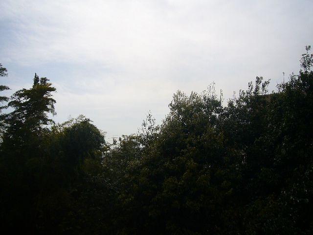 View photos from the dwelling unit. View taken from the local