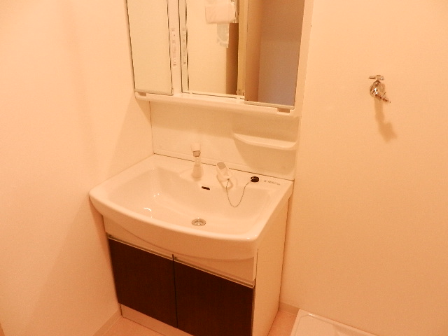 Washroom. Washbasin with shower