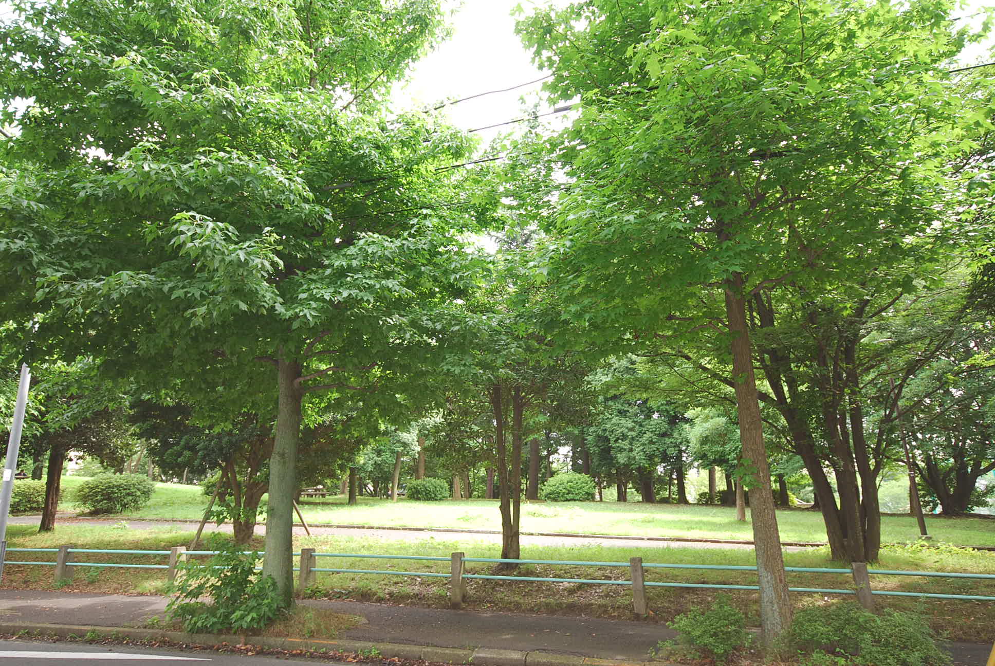 Other. Neighborhood "嶮山 park"