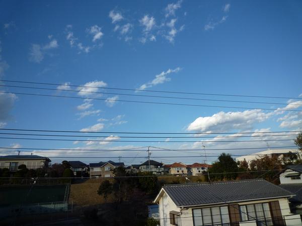View photos from the dwelling unit. View from local