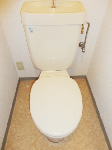 Toilet. Western-style toilet