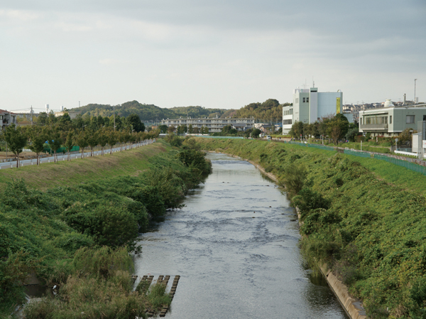 Surrounding environment. Tsurumi (about 20m ・ 1-minute walk)