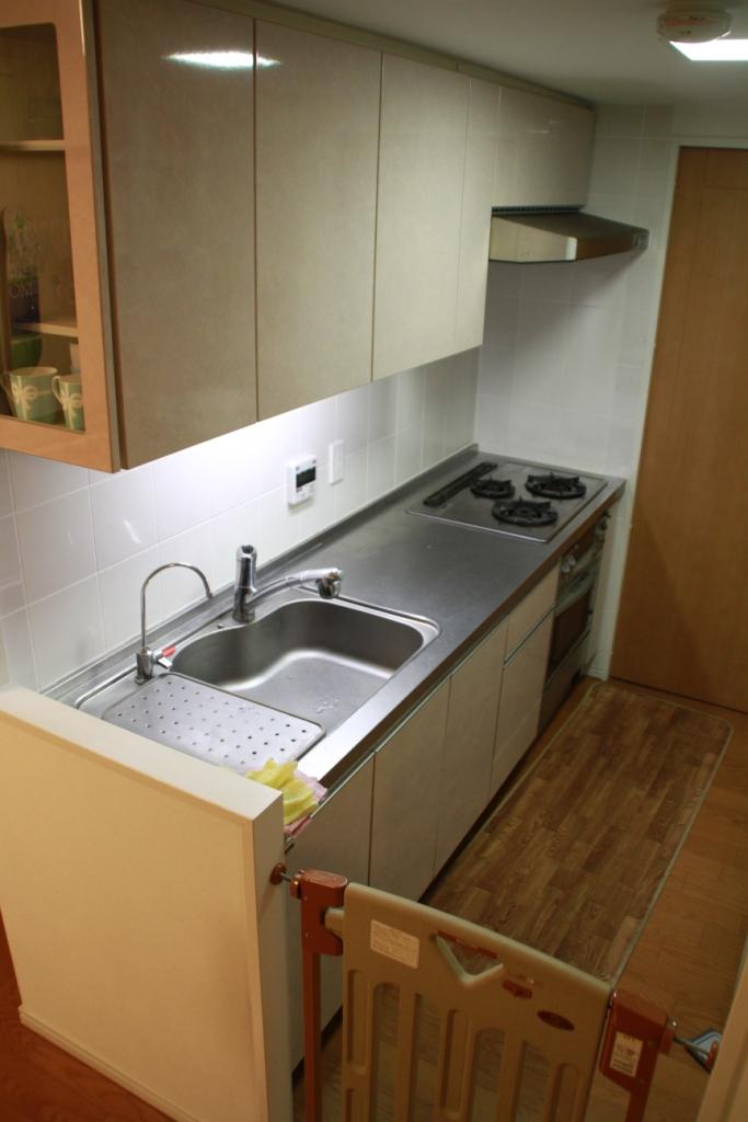 Kitchen. Indoor (11 May 2013) Shooting