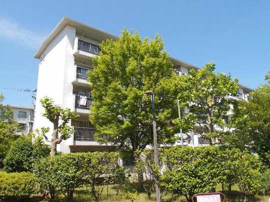 Local appearance photo. appearance