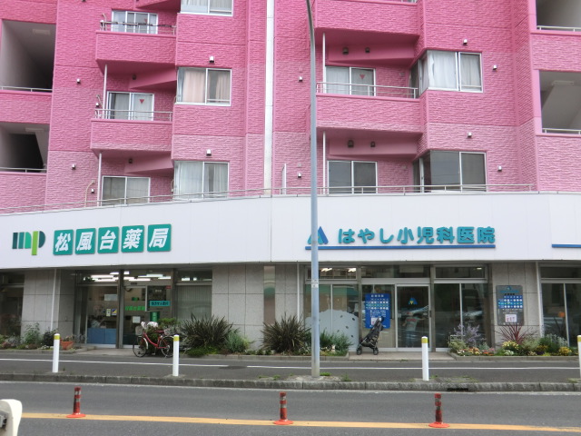 Hospital. 102m until Hayashi pediatric clinic (hospital)