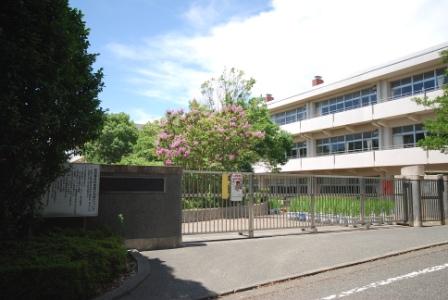 Primary school. 280m to Yokohama Municipal Shin'ishikawa elementary school (elementary school)