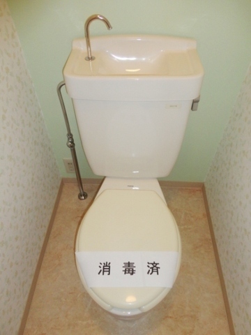 Toilet. It is a reference photograph of another room