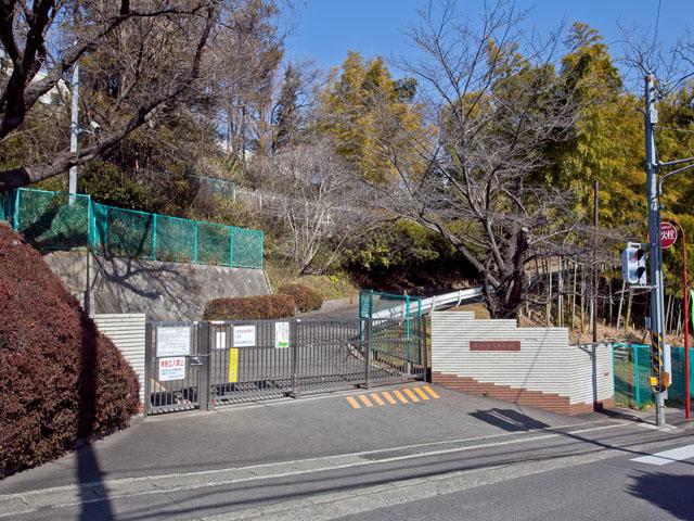 Primary school. 557m to Yokohama Municipal Tanimoto Elementary School