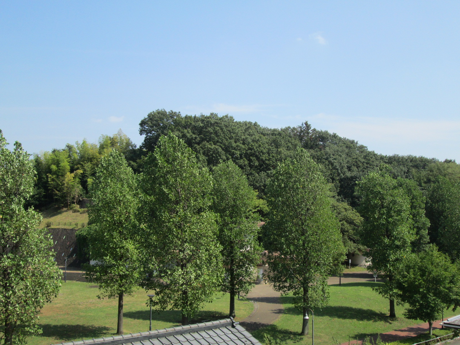 View. View from the fourth floor common corridor