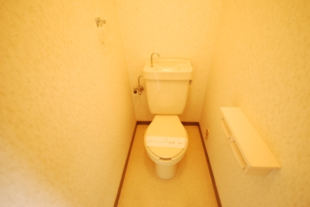 Toilet. Reference photograph