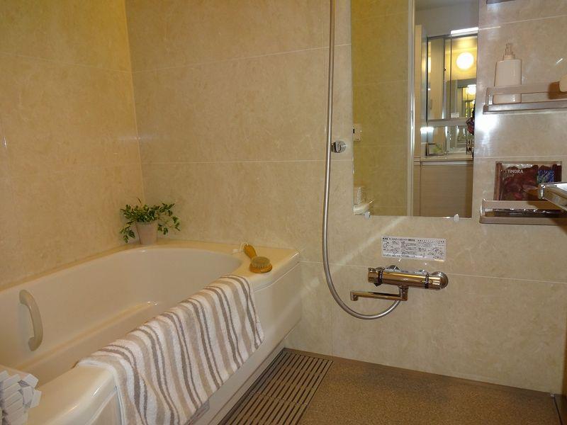 Other introspection. Bathroom