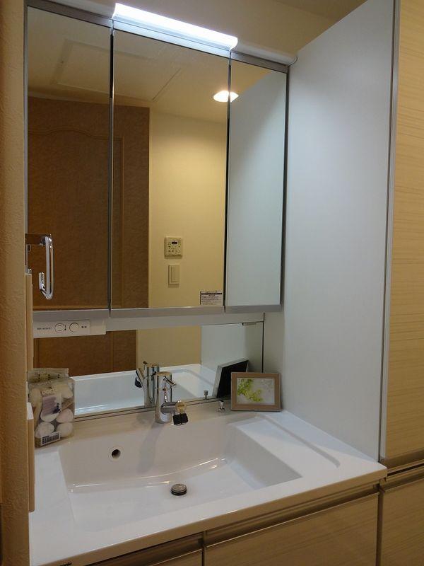 Wash basin, toilet. Bathroom vanity