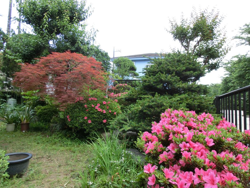 Garden. Local (May 2012) shooting
