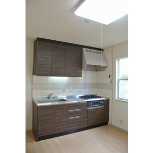 Kitchen. System kitchen * 2012. 12 lunar material re-covering!