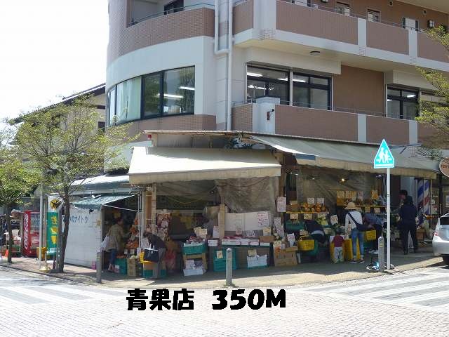 Other. 350m until the fruit and vegetable shop (Other)