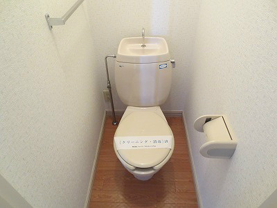 Toilet. I think you have settled Ku way in the toilet.