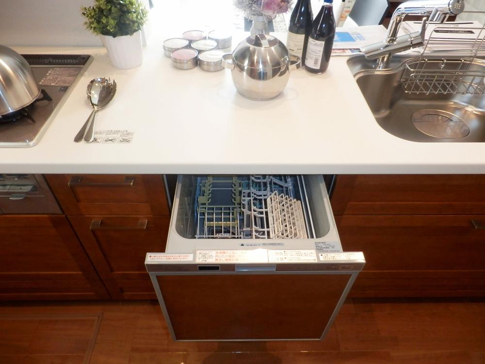 Other introspection. Dishwasher (12 May 2013) Shooting