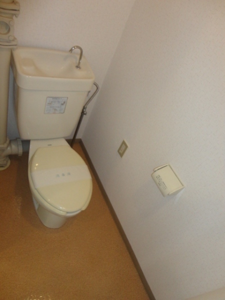 Toilet. Western-style toilet