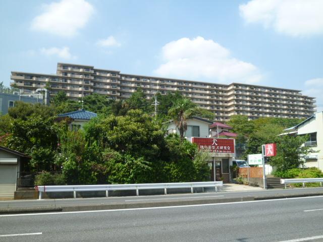 View photos from the dwelling unit. View from the local (2013) Shooting