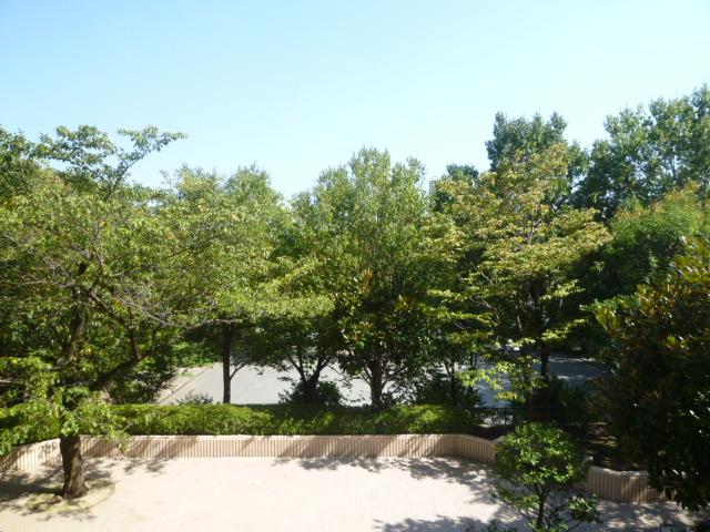 View photos from the dwelling unit. View from the local (2013) Shooting