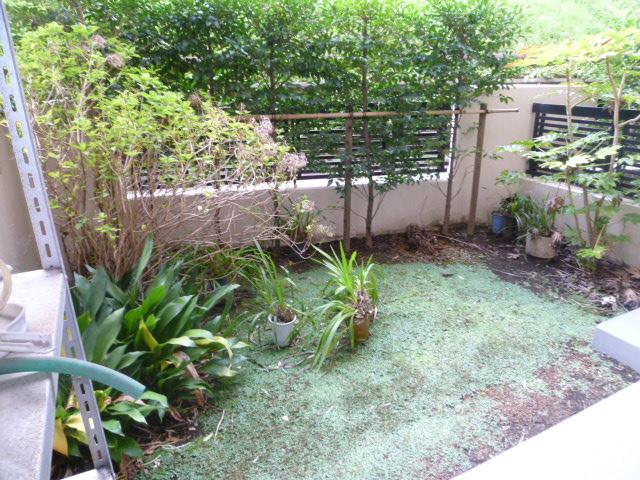 Garden. Local (2013) Shooting