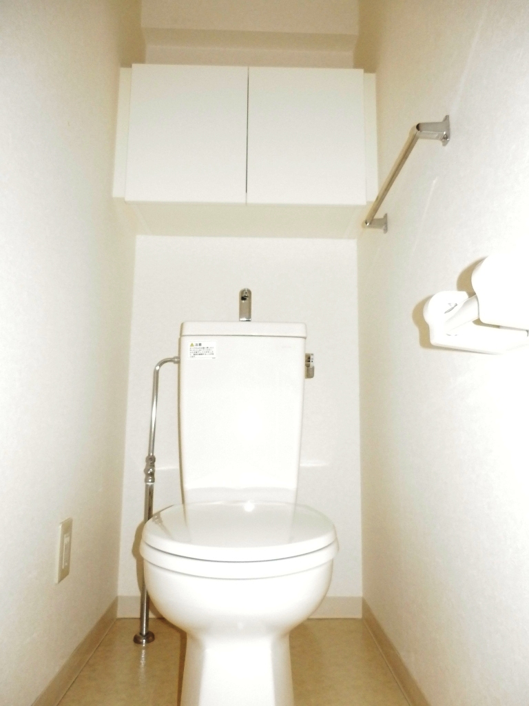 Toilet. It is a reference image of another room of the same type