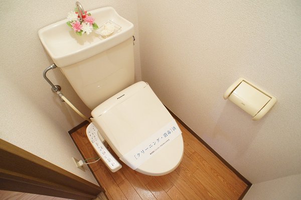 Toilet. Toilet with a comfortable warm water washing toilet seat.