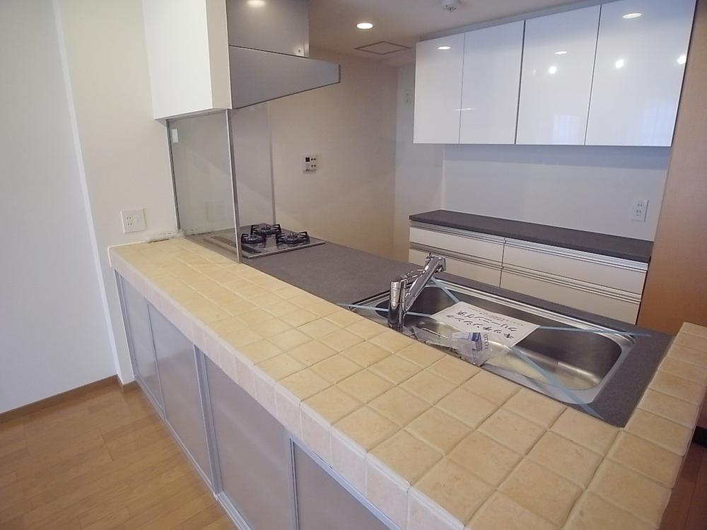 Kitchen. Indoor (11 May 2013) Shooting