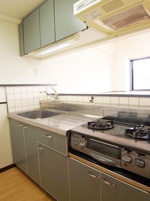 Kitchen. System kitchen with grill ☆