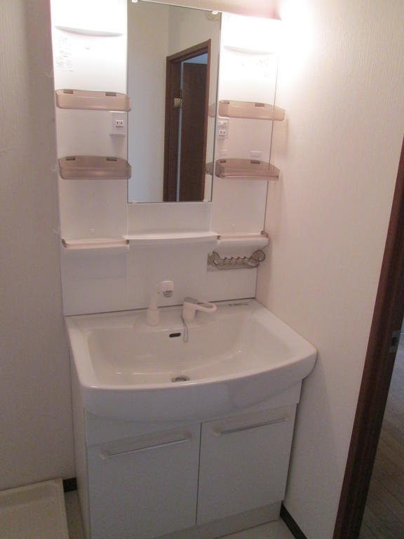 Washroom. Shampoo dresser