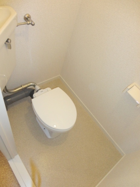 Toilet. It is a Western-style toilet with cleanliness