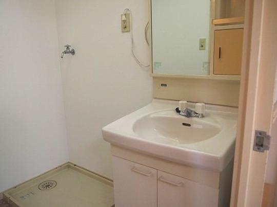 Wash basin, toilet. Bathroom vanity